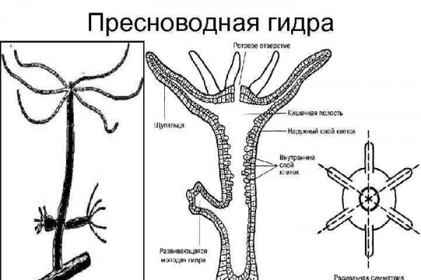 Спрут сайт тор bs onion info