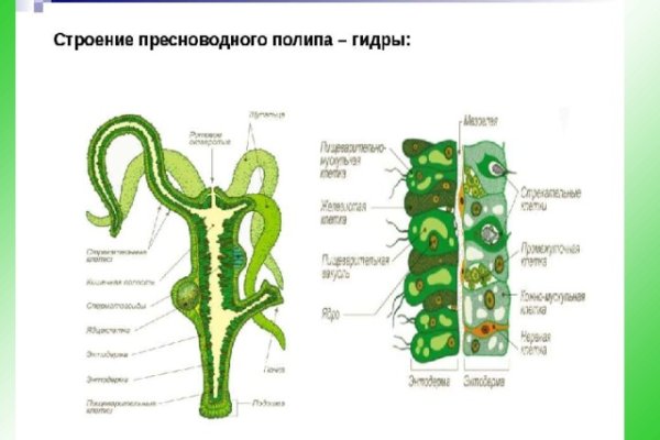 Блекспрут нет bs2web top