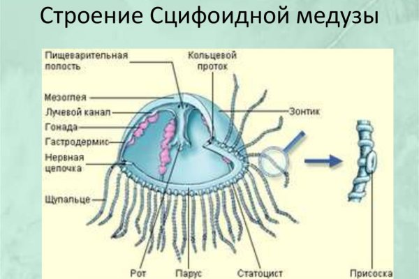 Блэкспрут официальный 1blacksprut me