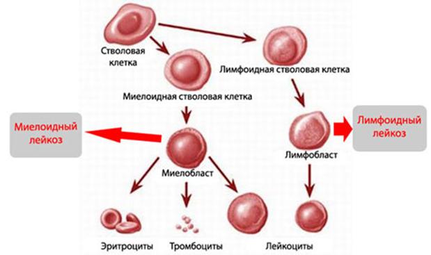 Блэк спрут не работает blacksprut adress com