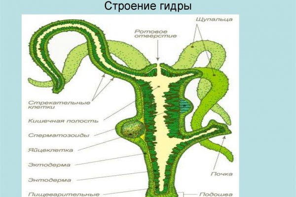 Ссылка на блэкспрут через тор официальная